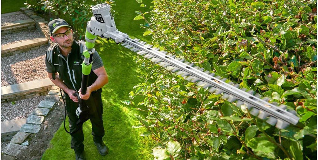 ¿Febrero o marzo? El dilema de la limpieza de primavera en tu jardín